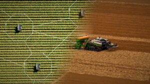 Robots solares aprenden a deshierbar un cultivo nuevo en menos de 7 días