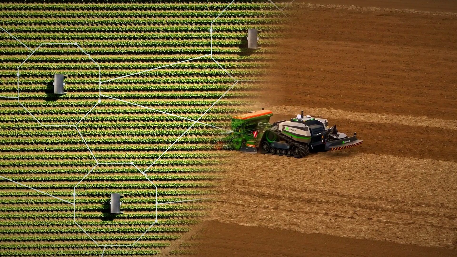 Axo junto a un robot agrícola con paneles solares que avanza entre surcos de un cultivo
